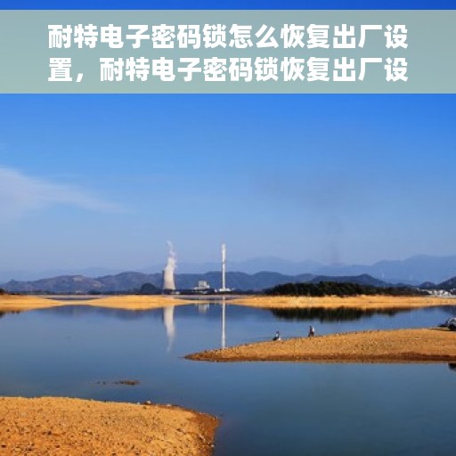 耐特电子密码锁怎么恢复出厂设置，耐特电子密码锁恢复出厂设置全攻略，轻松重置，保障安全