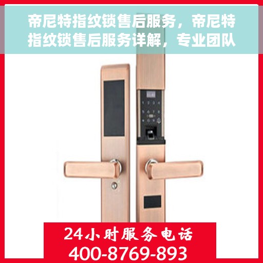 帝尼特指纹锁售后服务，帝尼特指纹锁售后服务详解，专业团队，贴心服务保障安全居家体验