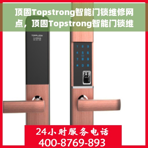 顶固Topstrong智能门锁维修网点，顶固Topstrong智能门锁维修服务网点，专业维护与保养，为您的安全保驾护航
