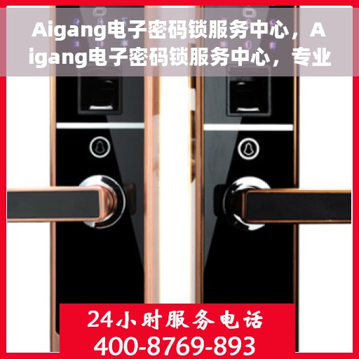 Aigang电子密码锁服务中心，Aigang电子密码锁服务中心，专业守护您的安全锁事无忧