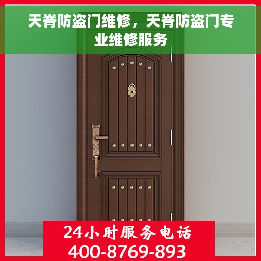 天脊防盗门维修，天脊防盗门专业维修服务