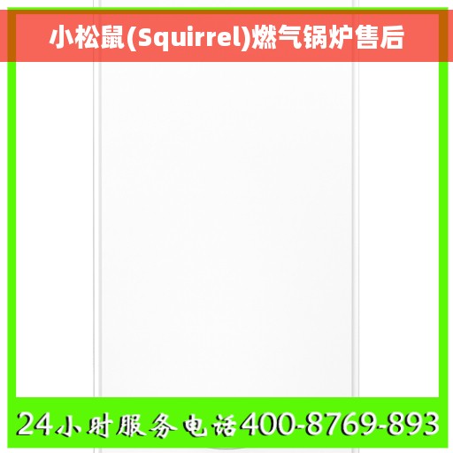 小松鼠(Squirrel)燃气锅炉售后