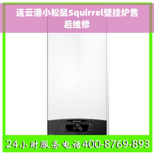 连云港小松鼠Squirrel壁挂炉售后维修