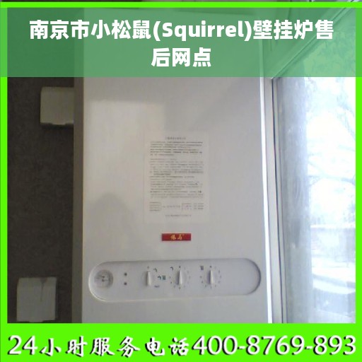 南京市小松鼠(Squirrel)壁挂炉售后网点