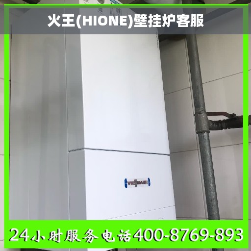 火王(HIONE)壁挂炉客服