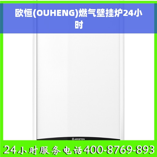 欧恒(OUHENG)燃气壁挂炉24小时