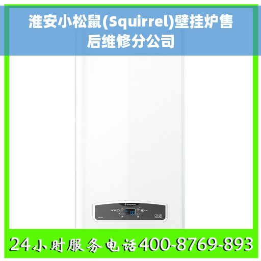 淮安小松鼠(Squirrel)壁挂炉售后维修分公司