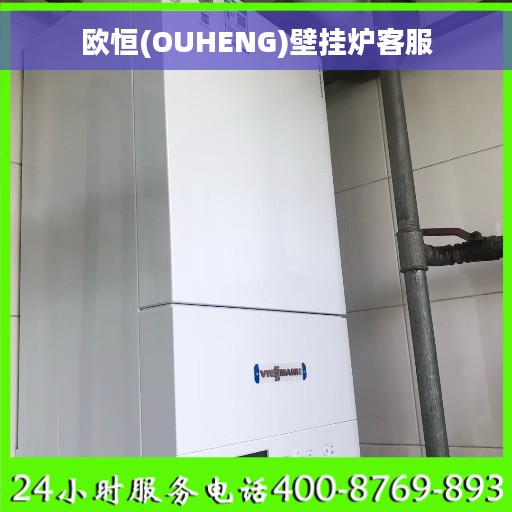 欧恒(OUHENG)壁挂炉客服