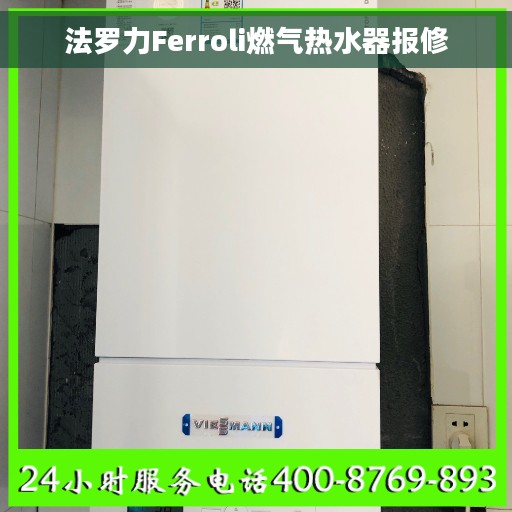 法罗力Ferroli燃气热水器报修