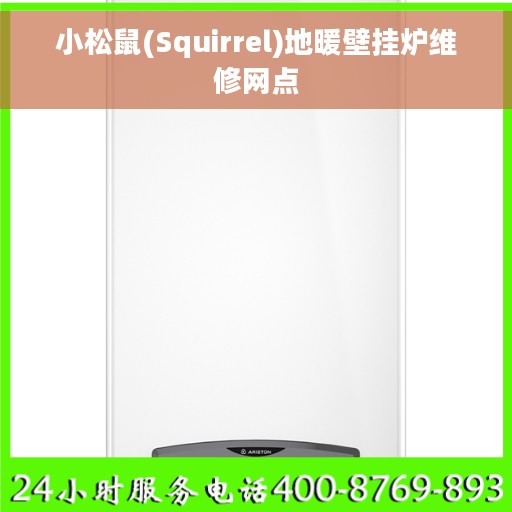 小松鼠(Squirrel)地暖壁挂炉维修网点