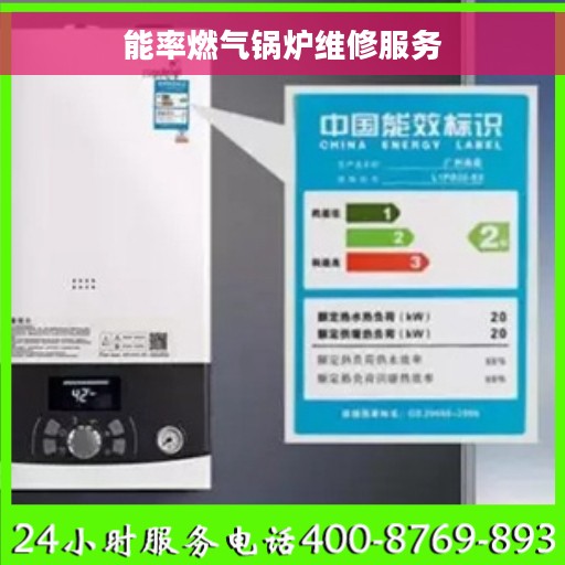 能率燃气锅炉维修服务
