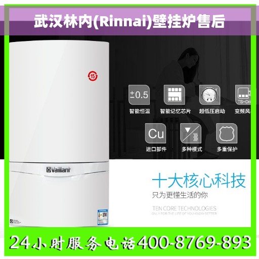 武汉林内(Rinnai)壁挂炉售后