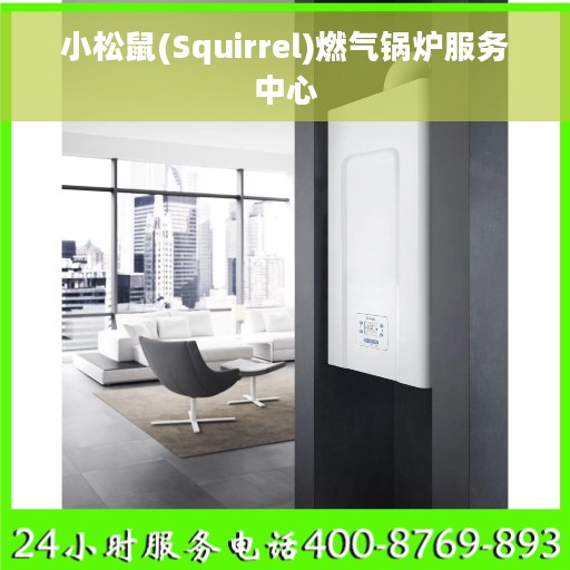 小松鼠(Squirrel)燃气锅炉服务中心