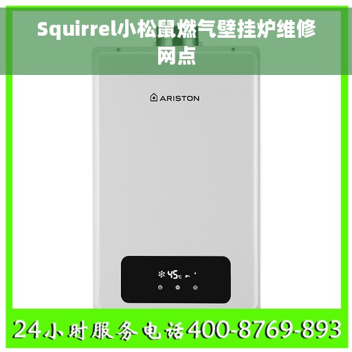 Squirrel小松鼠燃气壁挂炉维修网点