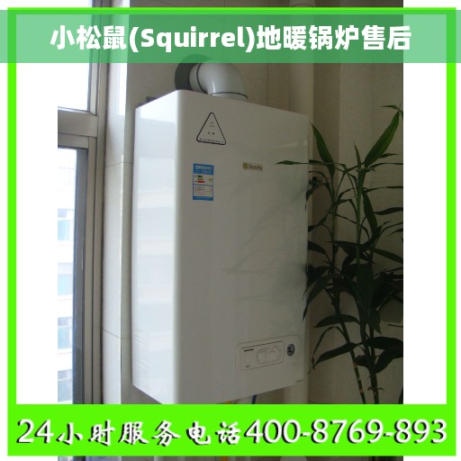 小松鼠(Squirrel)地暖锅炉售后