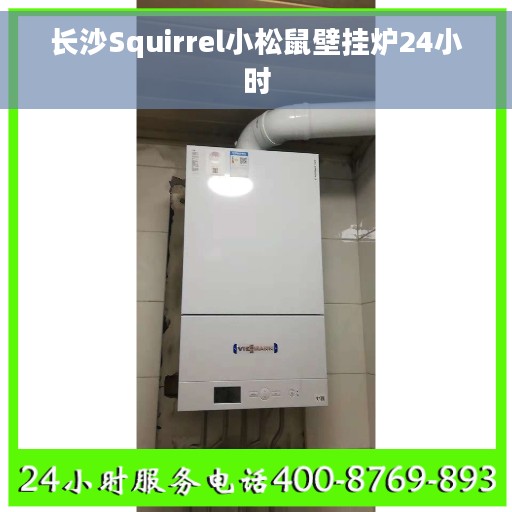 长沙Squirrel小松鼠壁挂炉24小时