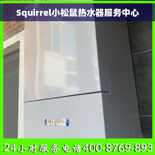Squirrel小松鼠热水器服务中心