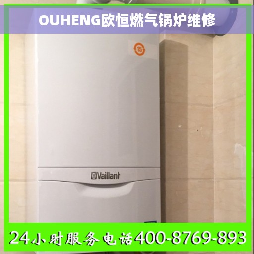 OUHENG欧恒燃气锅炉维修
