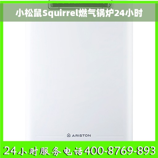 小松鼠Squirrel燃气锅炉24小时