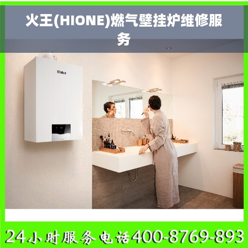 火王(HIONE)燃气壁挂炉维修服务