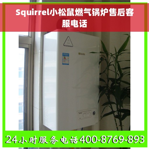 Squirrel小松鼠燃气锅炉售后客服电话