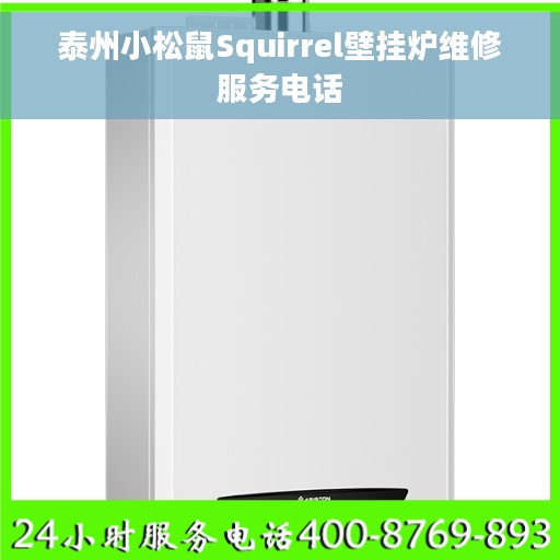 泰州小松鼠Squirrel壁挂炉维修服务电话