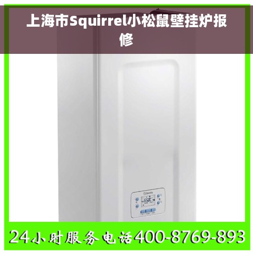 上海市Squirrel小松鼠壁挂炉报修