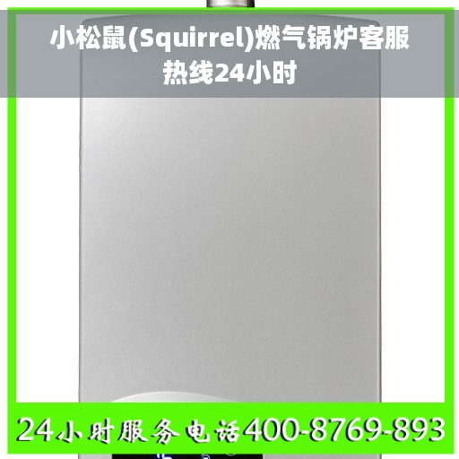 小松鼠(Squirrel)燃气锅炉客服热线24小时