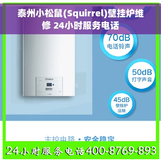 泰州小松鼠(Squirrel)壁挂炉维修 24小时服务电话