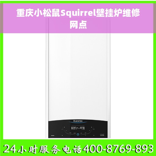 重庆小松鼠Squirrel壁挂炉维修网点