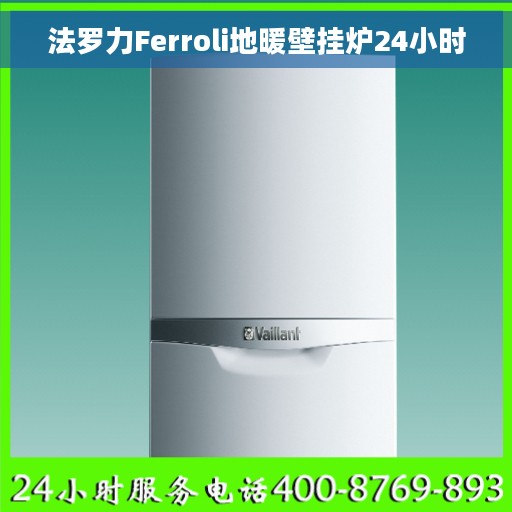 法罗力Ferroli地暖壁挂炉24小时