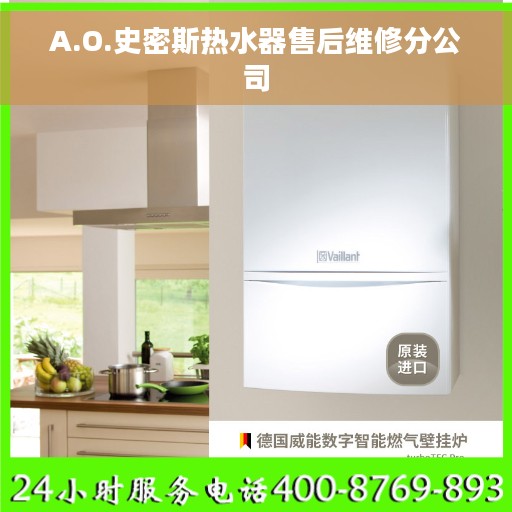 A.O.史密斯热水器售后维修分公司