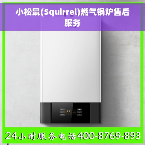 小松鼠(Squirrel)燃气锅炉售后服务