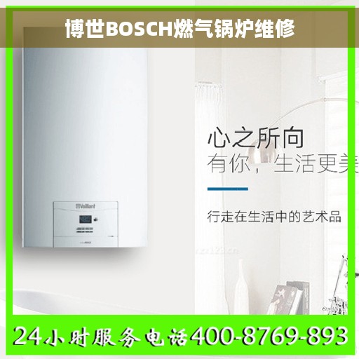 博世BOSCH燃气锅炉维修