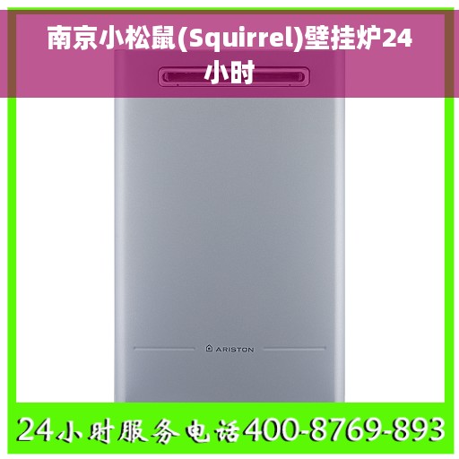 南京小松鼠(Squirrel)壁挂炉24小时