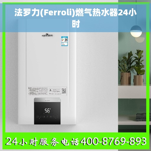 法罗力(Ferroli)燃气热水器24小时