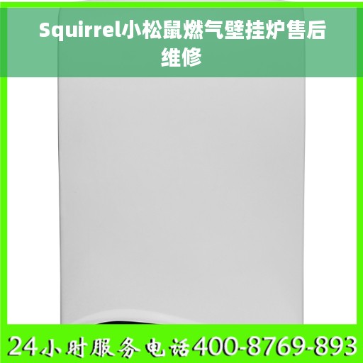 Squirrel小松鼠燃气壁挂炉售后维修