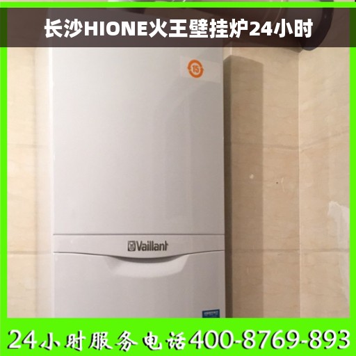 长沙HIONE火王壁挂炉24小时