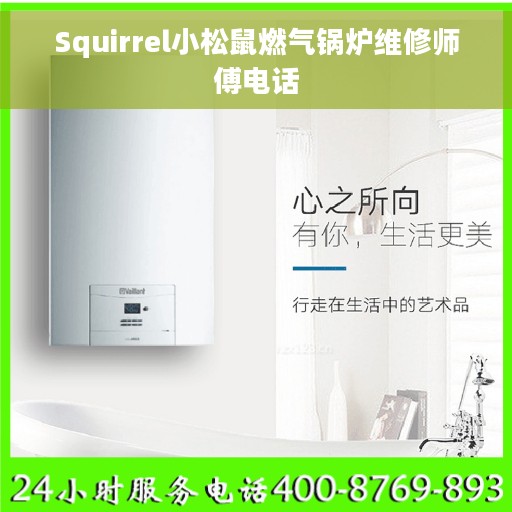 Squirrel小松鼠燃气锅炉维修师傅电话