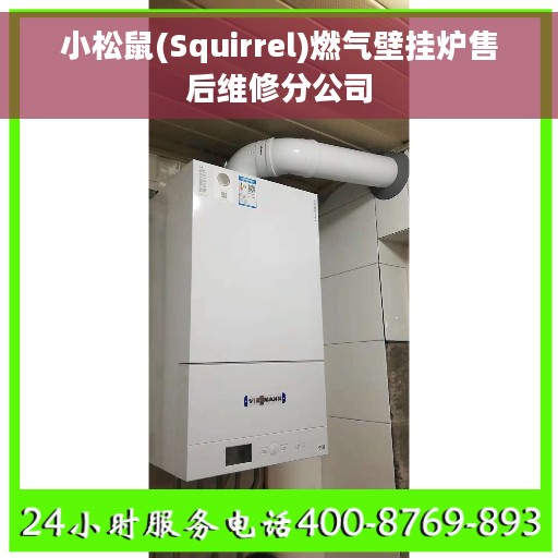 小松鼠(Squirrel)燃气壁挂炉售后维修分公司