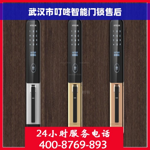 武汉市叮咚智能门锁售后
