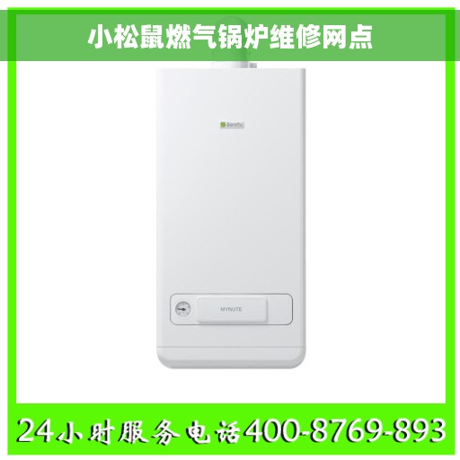 小松鼠燃气锅炉维修网点