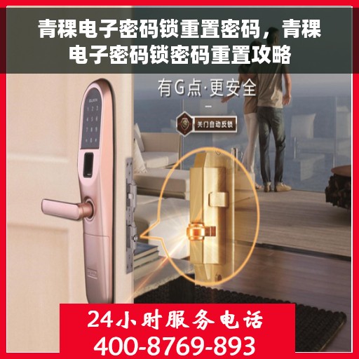 青稞电子密码锁重置密码，青稞电子密码锁密码重置攻略