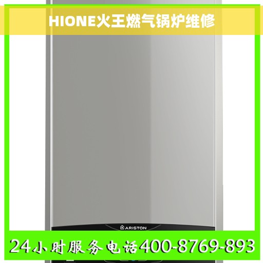 HIONE火王燃气锅炉维修