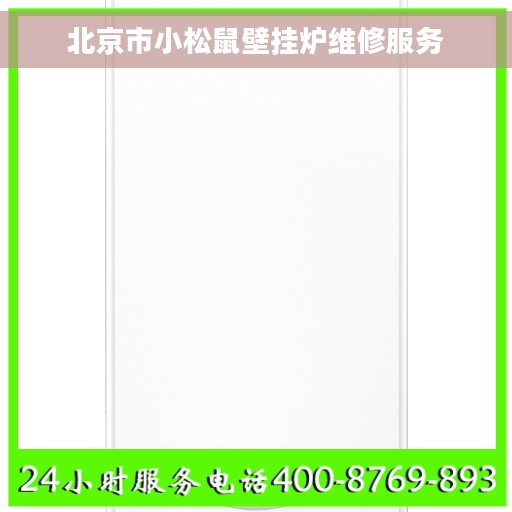 北京市小松鼠壁挂炉维修服务