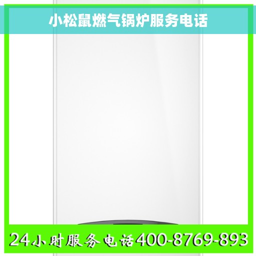 小松鼠燃气锅炉服务电话