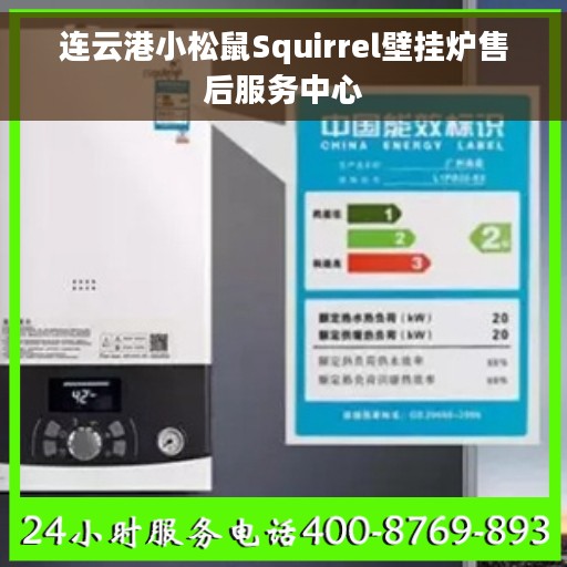 连云港小松鼠Squirrel壁挂炉售后服务中心