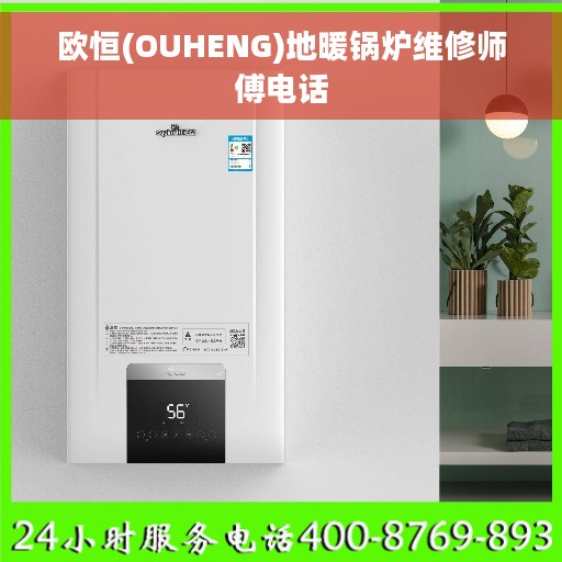 欧恒(OUHENG)地暖锅炉维修师傅电话