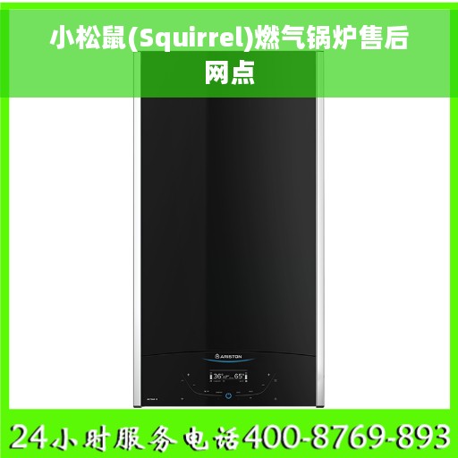 小松鼠(Squirrel)燃气锅炉售后网点