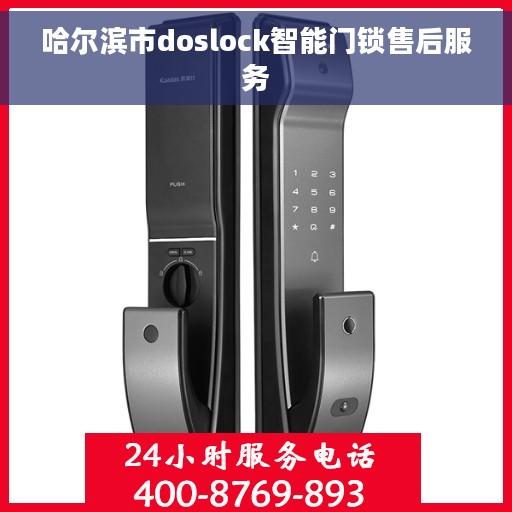 哈尔滨市doslock智能门锁售后服务